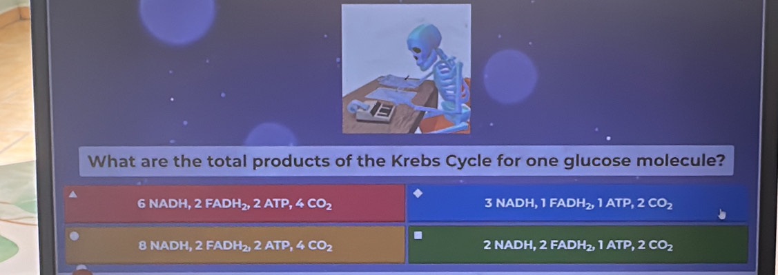 What are the total products of the Krebs Cycle for one glucose molecule?
6 NADH, 2 FADH₂, 2 ATP, 4CO_2 3 NADH, 1 F ADH- , 1 ATP, 2 CO_2.
8 NADH, 2 FADH₂, 2 ATP, 4CO_2 2 NADH, 2 FAD H_2 , 1 ATP, 2CO_2