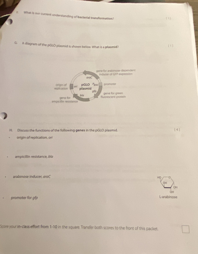 What is our current understanding of bacterial transformation? ( 1) 
G. A diagram of the pGLO plasmid is shown below. What is a plasmid? [1] 
gene for arabinose-dependent 
araC inducer of GFP expression 
origin of ori 
pGLO Prad promoter 
replication plasmid gfp gene for green 
gene for bla 
fluorescent protein 
ampicillin resistance 
H. Discuss the functions of the following genes in the pGLO plasmid. [ 4 ] 
origin of replication, ori 
ampicillin resistance, bla 
arabinose inducer, araC 。 
HO 
OH 
OH 
OH 
promoter for gfp 
L-arabinose 
Score your in-class effort from 1-10 in the square. Transfer both scores to the front of this packet.