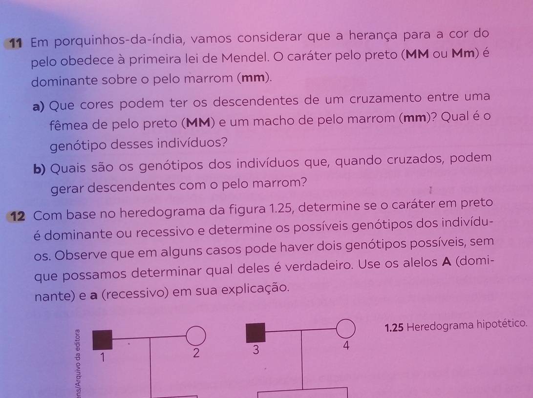 Em porquinhos-da-índia, vamos considerar que a herança para a cor do 
pelo obedece à primeira lei de Mendel. O caráter pelo preto (MM ou Mm) é 
dominante sobre o pelo marrom (mm). 
a) Que cores podem ter os descendentes de um cruzamento entre uma 
fêmea de pelo preto (MM) e um macho de pelo marrom (mm)? Qual é o 
genótipo desses indivíduos? 
b) Quais são os genótipos dos indivíduos que, quando cruzados, podem 
gerar descendentes com o pelo marrom? 
12 Com base no heredograma da figura 1.25, determine se o caráter em preto 
é dominante ou recessivo e determine os possíveis genótipos dos indivídu- 
os. Observe que em alguns casos pode haver dois genótipos possíveis, sem 
que possamos determinar qual deles é verdadeiro. Use os alelos A (domi- 
nante) e a (recessivo) em sua explicação. 
1.25 Heredograma hipotético. 
: