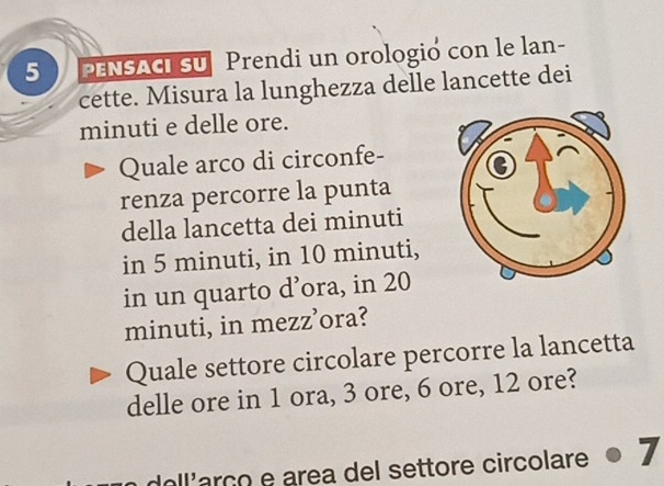 PENSACI SU Prendi un orologio con le lan- 
cette. Misura la lunghezza delle lancette dei 
minuti e delle ore. 
Quale arco di circonfe- 
renza percorre la punta 
della lancetta dei minuti 
in 5 minuti, in 10 minuti, 
in un quarto d’ora, in 20
minuti, in mezz’ora? 
Quale settore circolare percorre la lancetta 
delle ore in 1 ora, 3 ore, 6 ore, 12 ore? 
un doll'arço e area del settore circolare 7