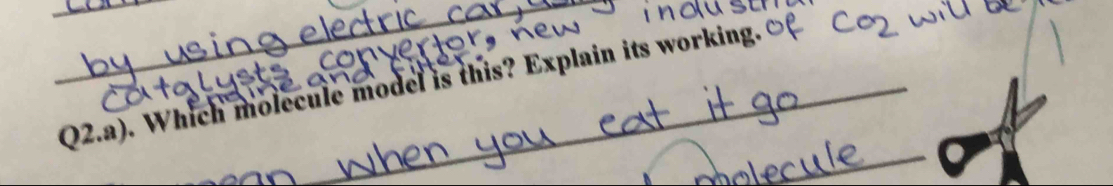 a 

Q2.a). Which molecule model is this? Explain its working. 
_
