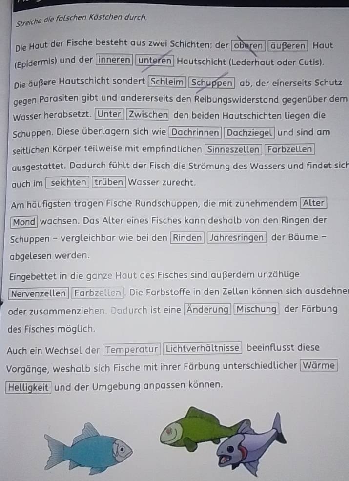 Fische Und Schutze Ein Feuerwerk Der Gegensatze Oder Doch Die Perfekte Liebeskombination