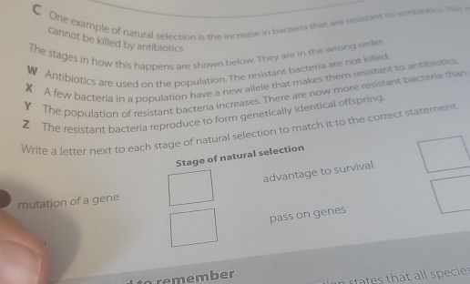 One example of natural selection is the increase in bacteria that are resistant to antiblotics. This 
cannot be killed by antiblotics 
The stages in how this happens are shown below. They are in the wrong order. 
W Antibiotics are used on the population. The resistant bacteria are not killed 
X A few bacteria in a population have a new allele that makes them resistant to antibiotics 
Y The population of resistant bacteria increases. There are now more resistant bacteria than 
Z The resistant bacteria reproduce to form genetically identical offspring 
Write a letter next to each stage of natural selection to match it to the correct statement 
Stage of natural selection 
advantage to survival 
mutation of a gene 
pass on genes 
o remember 
h at l l pei