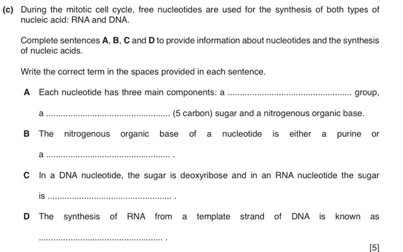 During the mitotic cell cycle, free nucleotides are used for the synthesis of both types of 
nucleic acid: RNA and DNA. 
Complete sentences A, B, C and D to provide information about nucleotides and the synthesis 
of nucleic acids. 
Write the correct term in the spaces provided in each sentence. 
A Each nucleotide has three main components: a _group, 
a _(5 carbon) sugar and a nitrogenous organic base. 
B The nitrogenous organic base of a nucleotide is either a purine or 
_a 
C In a DNA nucleotide, the sugar is deoxyribose and in an RNA nucleotide the sugar 
is_ 
D The synthesis of RNA from a template strand of DNA is known as 
_ 
[5]