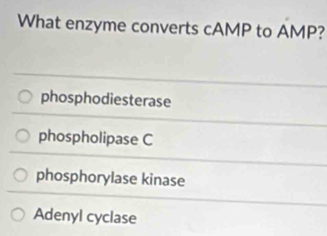 What enzyme converts cAMP to AMP?
phosphodiesterase
phospholipase C
phosphorylase kinase
Adenyl cyclase