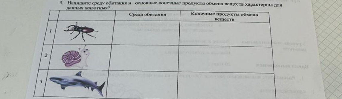 Налнцлте среду обнтанняне основные конечные продуκты обмена вешсств хараκтерны для