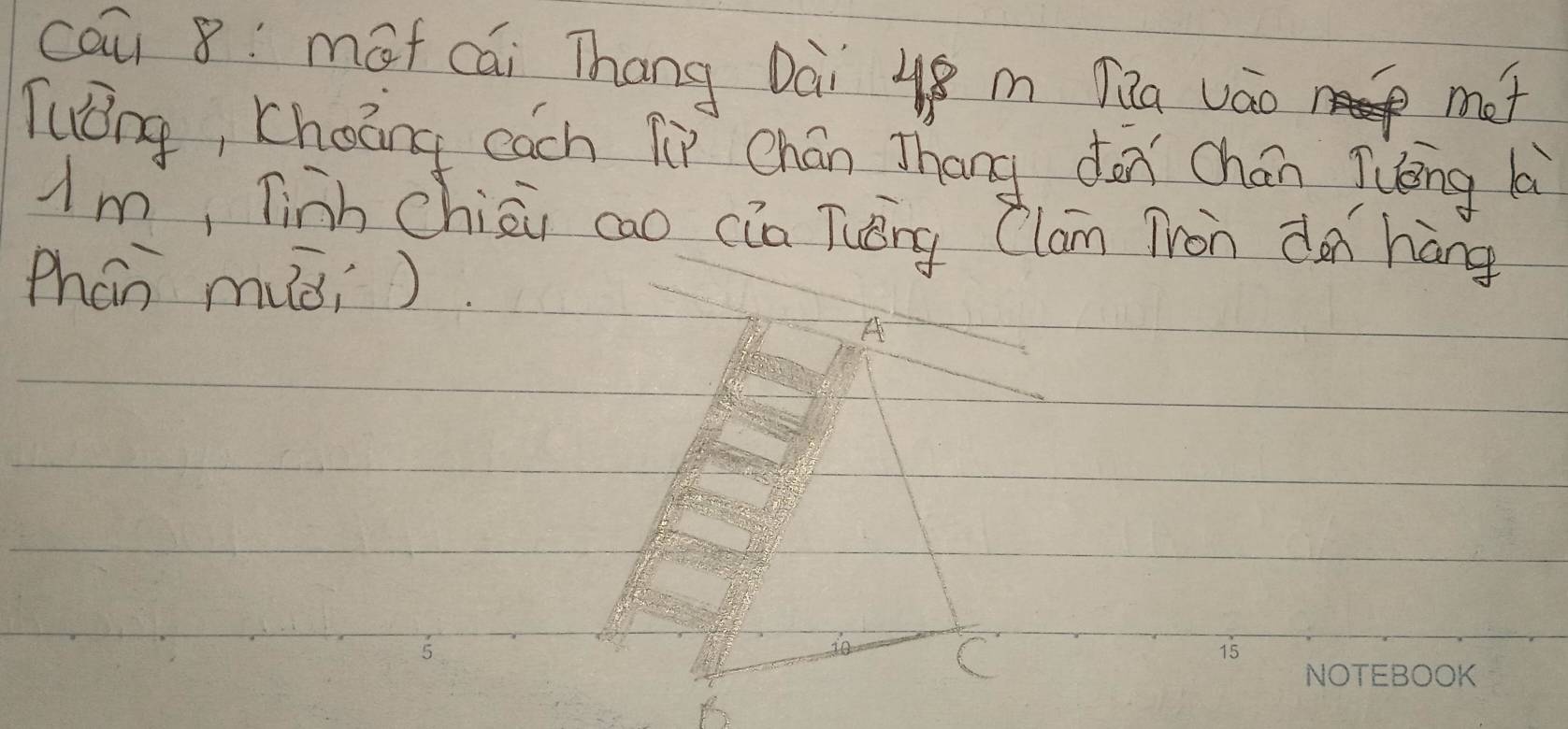 cau 8: mot cái Thang Dài 4 m TQa váo mot 
Tuōng, Choāng cach fì Chán Zhang dàn chán Tuéng là 
Am, Tinb chiāi cao cia Tuèng Clam Tron dn háng 
Phán miài ) 
A 
io C