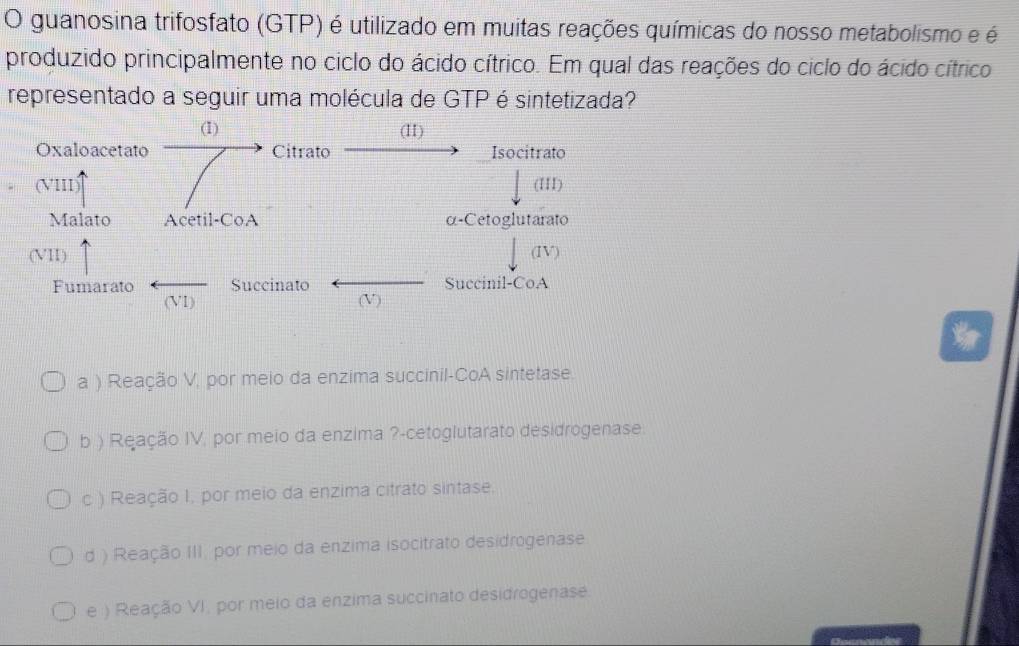 guanosina trifosfato (GTP) é utilizado em muitas reações químicas do nosso metabolismo e é
produzido principalmente no ciclo do ácido cítrico. Em qual das reações do ciclo do ácido cítrico
representado a seguir uma molécula de GTP é sintetizada?
a ) Reação V, por meio da enzima succinil-CoA sintetase.
b ) Reação IV, por meio da enzima ?-cetoglutarato desidrogenase
c ) Reação I, por meio da enzima citrato sintase.
d ) Reação III. por meio da enzima isocitrato desidrogenase
e ) Reação VI, por meio da enzima succinato desidrogenase.