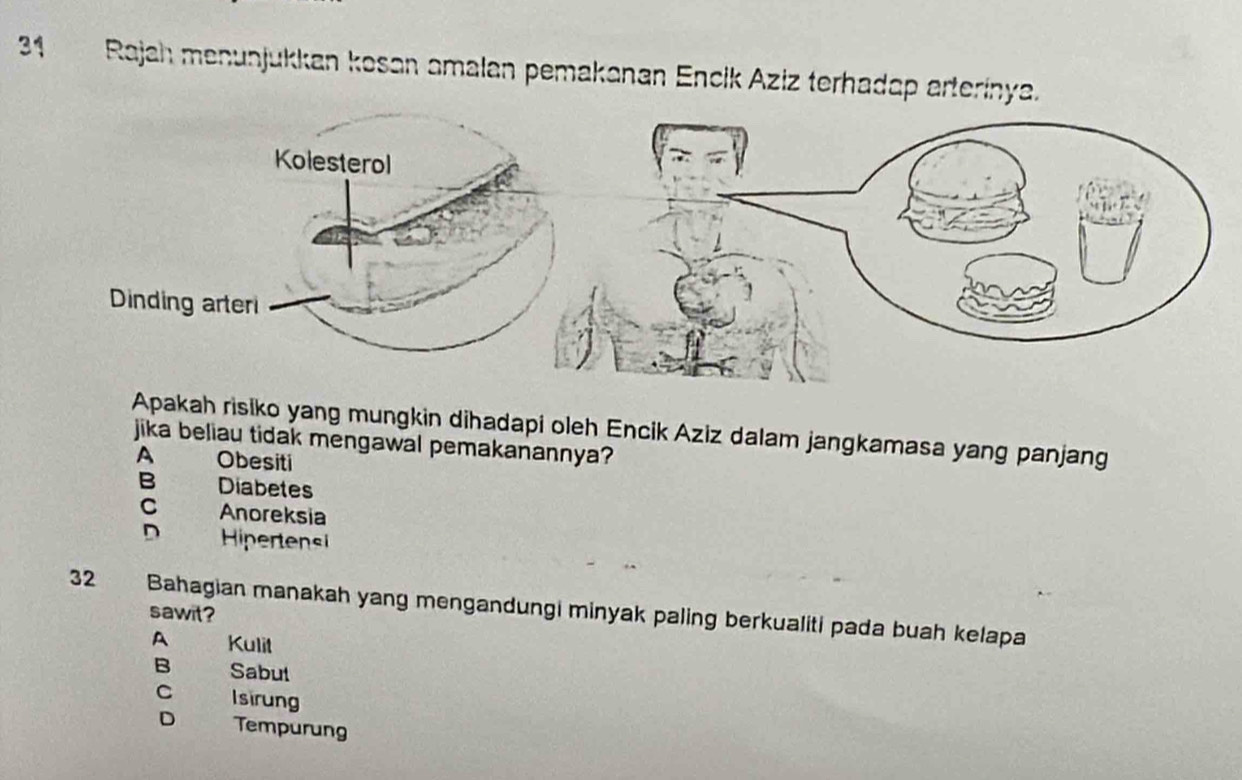 Rajah menunjukkan kosan amalan pemakanan Encik Aziz terhadap arterinya.
Apakah risiko yang mungkin dihadapi oleh Encik Aziz dalam jangkamasa yang panjang
jika beliau tidak mengawal pemakanannya?
A Obesiti
B Diabetes
C . Anoreksia
D Hipertensi
32 Bahagian manakah yang mengandungi minyak paling berkualiti pada buah kelapa
sawit?
A Kulit
B Sabut
C Isirung
D Tempurung