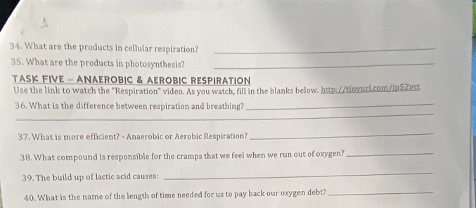 What are the products in cellular respiration?_ 
35. What are the products in photosynthesis?_ 
TASK FIVE - ANAEROBIC & AEROBIC RESPIRATION 
Use the link to watch the "Respiration" video. As you watch, fill in the blanks below. http://tinyuri.com/jp52yct 
36. What is the difference between respiration and breathing?_ 
_ 
_ 
37. What is more efficient? - Anaerobic or Aerobic Respiration? 
_ 
38. What compound is responsible for the cramps that we feel when we run out of oxygen?_ 
39. The build up of lactic acid causes: 
_ 
40. What is the name of the length of time needed for us to pay back our oxygen debt?_