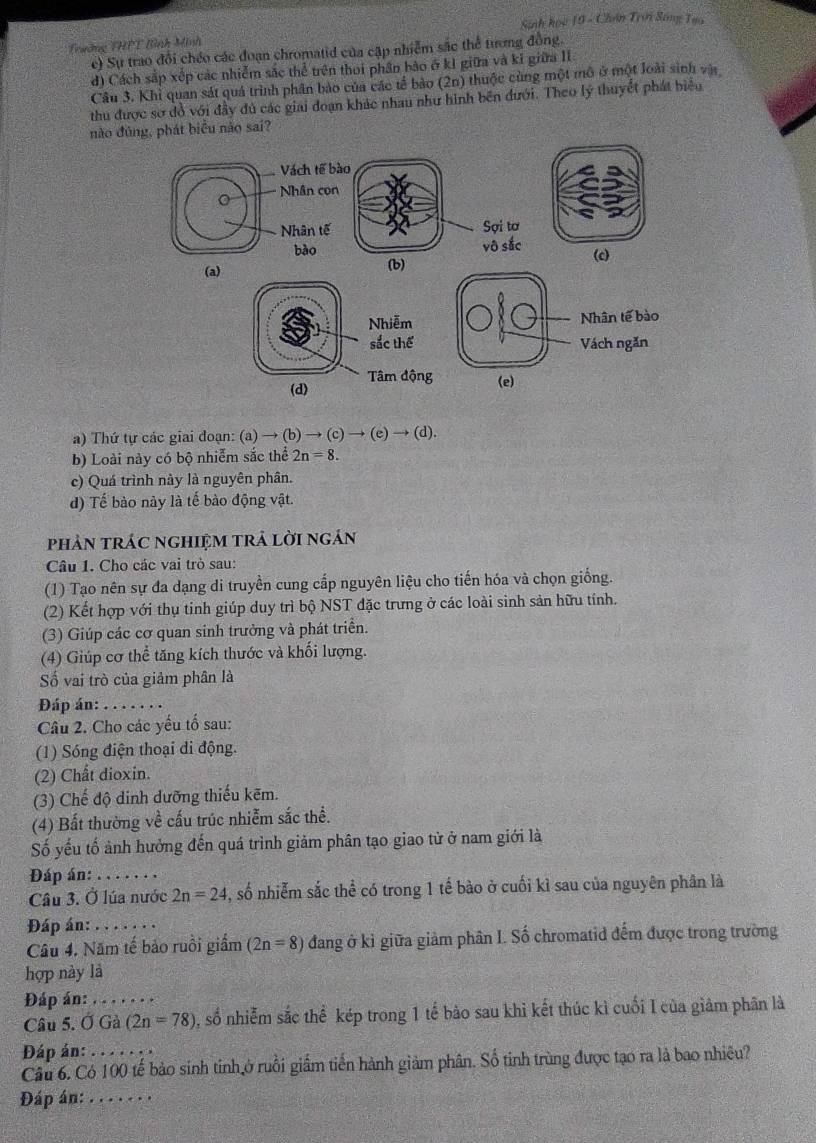 Sinh hoc 19 - Chân Trời Sông Tao
Trường THPT Bình Minh
c) Sự trao đổi chéo các đoạn chromatid của cập nhiễm sắc thể tương đồng.
d) Cách sắp xếp các nhiễm sắc thể trên thoi phần bào ở kỉ giữa và kỉ giữa II
Câu 3. Khi quan sát quả trình phần bảo của các tế bảo (2n) thuộc cùng một mô ở một loài sinh vật
thủ được sơ đồ với đầy đủ các giai đoạn khác nhau như hình bên dưới. Theo lý thuyết phát biểu
nào đủng, phát biểu nào sai?
Sợi tơ
vô sắc (c)
(a) (b)
a) Thứ tự các giai doạn: (a) → (b) → (c) → (e) → (d).
b) Loài này có bộ nhiễm sắc thể 2n=8.
c) Quá trình này là nguyên phân.
d) Tế bào này là tế bào động vật.
phản trác nghiệm trả lời ngán
Câu 1. Cho các vai trò sau:
(1) Tạo nên sự đa dạng di truyền cung cấp nguyên liệu cho tiến hóa và chọn giống.
(2) Kết hợp với thụ tinh giúp duy trì bộ NST đặc trưng ở các loài sinh sản hữu tính.
(3) Giúp các cơ quan sinh trưởng và phát triển.
(4) Giúp cơ thể tăng kích thước và khối lượng.
Số vai trò của giảm phân là
Đáp án:_
Câu 2. Cho các yếu tố sau:
(1) Sóng điện thoại di động.
(2) Chất dioxin.
(3) Chế độ dinh dưỡng thiếu kẽm.
(4) Bất thường về cấu trúc nhiễm sắc thể.
Số yếu tố ảnh hưởng đến quá trình giảm phân tạo giao tử ở nam giới là
Đáp án:_
Câu 3. Ở lúa nước 2n=24 , số nhiễm sắc thể có trong 1 tế bào ở cuối kì sau của nguyên phân là
Đáp án: ... . .
Câu 4. Năm tế bảo ruồi giẩm (2n=8) đang ở kỉ giữa giảm phân I. Số chromatid đếm được trong trường
hợp này là
Đáp án:_
Câu 5. Ở Gả (2n=78) , số nhiễm sắc thể kép trong 1 tế bảo sau khì kết thúc kì cuối I của giảm phân là
Đáp án: ….
Câu 6. Có 100 tế bảo sinh tinh ở ruồi giầm tiến hành giàm phân. Số tinh trùng được tạo ra là bao nhiêu?
Đáp án: . . . . . . .