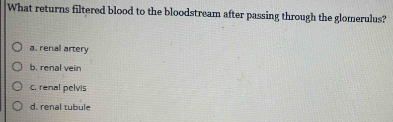 What returns filtered blood to the bloodstream after passing through the glomerulus?
a. renal artery
b. renal vein
c. renal pelvis
d. renal tubule