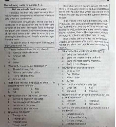 The following text is for number 1-5. Blue whales live in oceans around the world
Fish are animals that live in water. They feed almost exclusively on tiny crustaceans
Fish have fins that help them to swim. Most called krill. An adult blue whale can eat up to 40
fish have slimy skins covered with scales which are million krill per day during the summer feeding 
very small and can be seen. season Blue whales were hunted extensively in the
Fish breathe through gills. These look like a 1900s, and their population dropped dangerously
comb and lie on each side of the head. Fish take low. Commercial whaling of blue whales was
in water all the time. The water flows in through banned in 1966, and their numbers have increased
the mouth, over the gills, and out through the sides
of the head. When a fish takes in water, it is not slowly. However, threats like ship strikes, climate
drinking but breathing, and the gills absorb oxygen change, and pollution still affect their recovery.
Blue whales are classified as endangered
from the water Ongoing conservation efforts aim to protect their
The body of a fish is made up of the head, the
trunk, and the tail fins rebound. habitat and allow their populations to continue to
1. What is the best tittle of the text above? 6. What is the blue whale known for? HOTS
a Animals that live in water
b Kinds of fish a. Being the fastest fish.
b. Being the largest animal on Earth
c. Fish. c. Being the most collorful mammal.
d Water. d. Being a type of reptile.
2. What is the mean idea of paragraph 2? 7. How long can blue whales grow?
a The definition of fish.
b. Physical description of fish. a. Up to 50 feet
c. How a fish breathing. b Over 100 feet
d. Kinds of fish. d. 20 feet. c. About 75 feet.
3. "Fish have fins that help them to swim" . The 8. What do blue whales primarily eat?
underlined word refers to ..
a scales c fins a. Small fish. c. Krill.
b fish d gills b Seaweed d. Plankton.
4. Why can fish live in the water? Because .... 9 How many krill can an adult blue whale eat in a
a. there is no oxygen in the water day during summer?
b. there is oxygen in the water b. 10 million a 1 million c. 40 million d. 100 million
c there is air in the water
d there is no air in the water 10. Why did the population of blue whales drop in
5. How does fish breath? the 1900s?
a Through nose. a. Natural disasters.
b Through gills b. Commercial whaling.
c. Through skins. c. Climate change.
d. Though mouth d. Habitat destruction