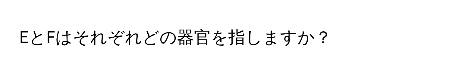 EとFはそれぞれどの器官を指しますか？