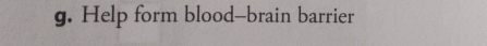 Help form blood--brain barrier