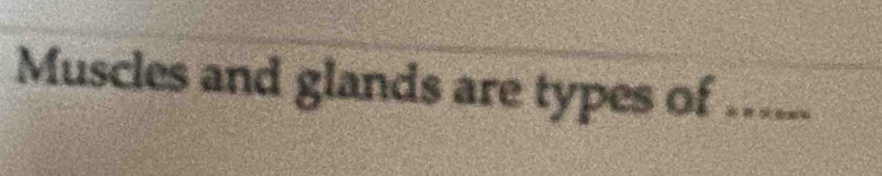 Muscles and glands are types of ......