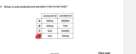 Where is urea produced and excreted in the human body? 
[Turn over