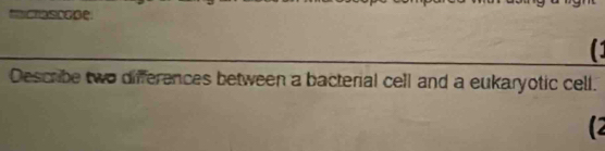 Describe two differences between a bacterial cell and a eukaryotic cell. 
(2