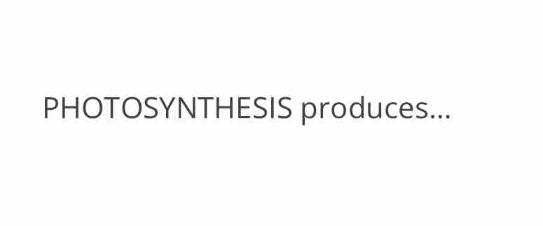 PHOTOSYNTHESIS produces...