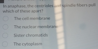 In anaphase, the centrioles and spindle fibers pull
which of these apart?
The cell membrane
The nuclear membrane
Sister chromatids
The cytoplasm