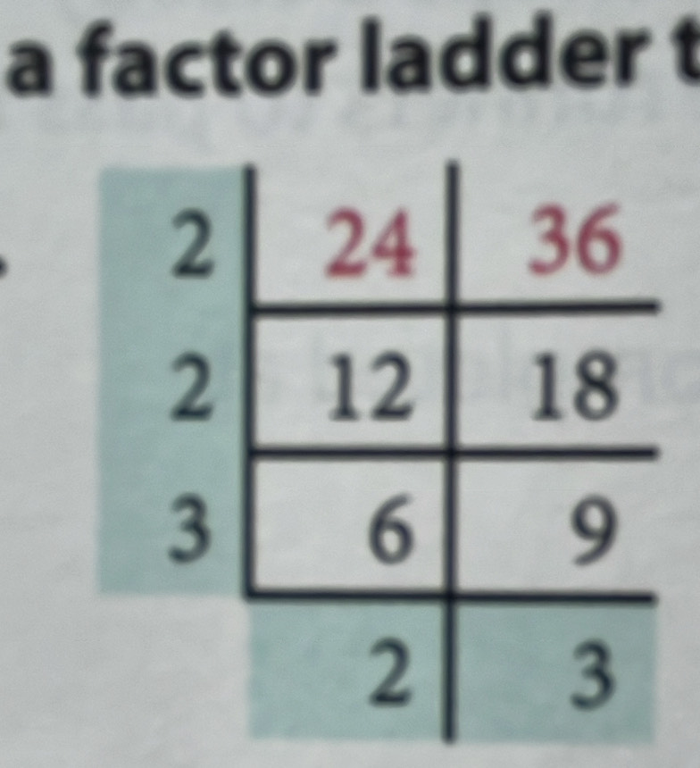 a factor ladder t