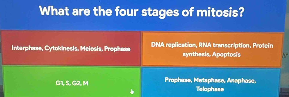 Solved: What are the four stages of mitosis? Interphase, Cytokinesis ...