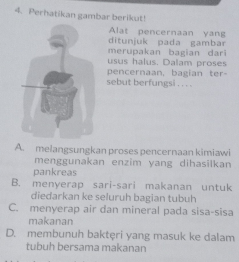 Perhatikan gambar berikut!
Alat pencernaan yang
ditunjuk pada gambar
merupakan bagian dari
usus halus. Dalam proses
pencernaan, bagian ter-
sebut berfungsi . . . .
A. melangsungkan proses pencernaan kimiawi
menggunakan enzim yang dihasilkan
pankreas
B. menyerap sari-sari makanan untuk
diedarkan ke seluruh bagian tubuh
C. menyerap air dan mineral pada sisa-sisa
makanan
D. membunuh baktęri yang masuk ke dalam
tubuh bersama makanan