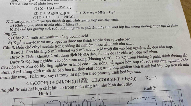 Cho sợ đồ phản ứng sau:
(1) X+H_2Oxrightarrow H^+,t^*Y
(2) Y+[Ag(NH_3)_2]OHxrightarrow r^*Z+Ag+NH_3+H_2O
(3) Z+HCl□ T+NH_4Cl
X là carbohydrate được tạo thành từ quá trình quang hợp của cây xanh.
a) Khối lượng phân tử của chất T bằng 213.
b) Để chế tạo gương soi, ruột phích, người ta phủ lên thủy tinh một lớp bạc mỏng thường được tạo từ phản
ứng (2).
c) Chất Z là muối ammonium của gluconic acid.
d) X gồm amylose và amylopectin được tạo thành từ các đợn vị α-glucose.
Câu 3. Điều chế ethyl acetate trong phòng thí nghiệm được tiến hành như sau :
Bước 1: Cho khoảng 5 mL ethanol và 5 mL acetic acid tuyệt đối vào ống nghiệm, lắc đều hỗn hợp.
Bước 2: Thêm khoảng 2 mL dung dịch H_2SO_4 đặc, lắc nhẹ đề các chất trộn đều với nhau.
Bước 3: Đặt ống nghiệm vào cốc nước nóng (khoảng 60°C-70°C) trong khoảng 5 phút, thỉnh thoảng lắc
đều hỗn hợp. Sau đó lấy ống nghiệm ra khỏi cốc nước nóng, để nguội hỗn hợp rồi rót sang ống nghiệm khác
chứa 10 mL dung dịch muối ăn bão hòa thì thấy chất lỏng trong ống nghiệm tách thành hai lớp, lớp trên có mùi
thơm đặc trưng. Phản ứng xảy ra trong thí nghiệm theo phương trình hoá học sau:
CH_3COOH(l)+C_2H_5OH (1)  CH_3COOC_2H_5(l)+H_2O(l) K_C=4
Cho phổ IR của hai hợp chất hữu cơ trong phản ứng trên như hình dưới đây. Hình 2:
Hình 1: