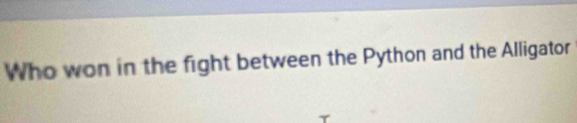 Who won in the fight between the Python and the Alligator