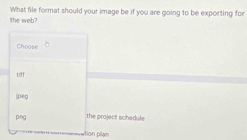 What file format should your image be if you are going to be exporting for
the web?
Choose
tiff
jpeg
png the project schedule
' tion plan