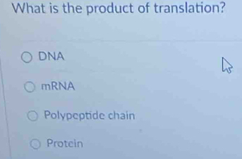 What is the product of translation?
DNA
mRNA
Polypeptide chain
Protein