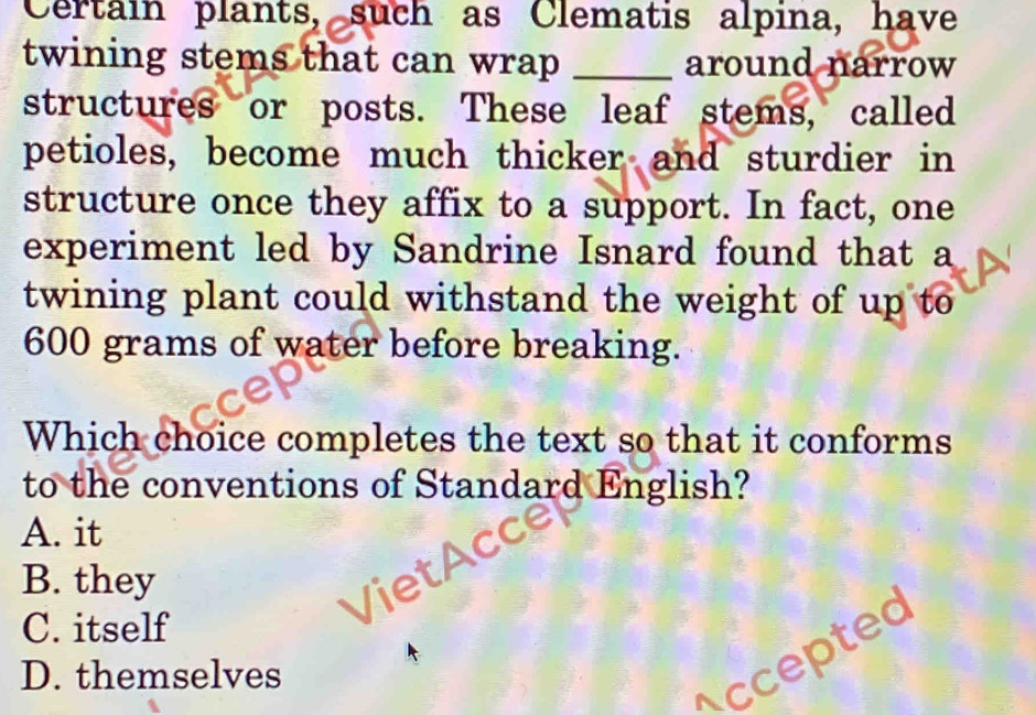 Certain plants, such as Clematis alpina, have
twining stems that can wrap _around narrow
structures or posts. These leaf stems, called
petioles, become much thicker and sturdier in
structure once they affix to a support. In fact, one
experiment led by Sandrine Isnard found that a
twining plant could withstand the weight of up to
600 grams of water before breaking.
Which choice completes the text so that it conforms
to the conventions of Standard English?
A. it
B. they
C. itself
D. themselves
Accepted