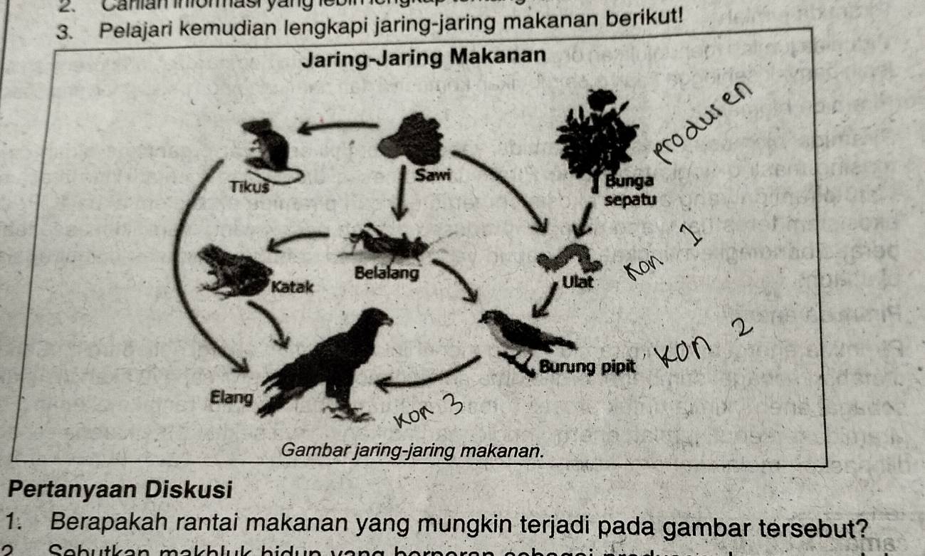 Canian iniomast yang let 
3. Pelajari kemudian lengkapi jaring-jaring makanan berikut! 
Pertanyaan Diskusi 
1. Berapakah rantai makanan yang mungkin terjadi pada gambar tersebut? 
2 Sobutl