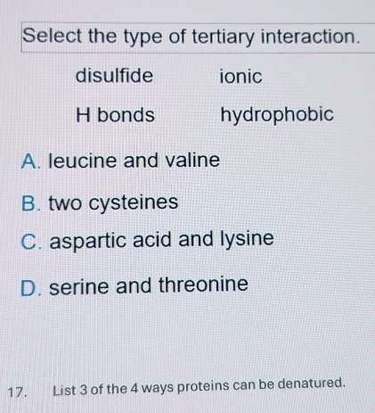 Select the type of tertiary interaction.
disulfide ionic
H bonds hydrophobic
A. leucine and valine
B. two cysteines
C. aspartic acid and lysine
D. serine and threonine
17. List 3 of the 4 ways proteins can be denatured.