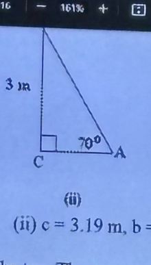 16 1619 
(ii)
(ii) c=3.19m,b=