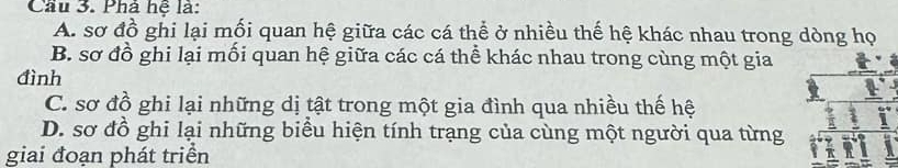 Cầu 3. Phả hệ là:
A. sơ đồ ghi lại mối quan hệ giữa các cá thể ở nhiều thế hệ khác nhau trong dòng họ
B. sơ đồ ghi lại mối quan hệ giữa các cá thể khác nhau trong cùng một gia
đình
C. sơ đồ ghi lại những dị tật trong một gia đình qua nhiều thế hệ
D. sơ đồ ghi lại những biểu hiện tính trạng của cùng một người qua từng
giai đoạn phát triển