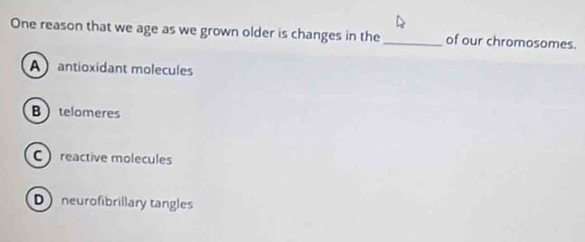 One reason that we age as we grown older is changes in the _of our chromosomes.
Aantioxidant molecules
Btelomeres
Creactive molecules
Dneurofibrillary tangles