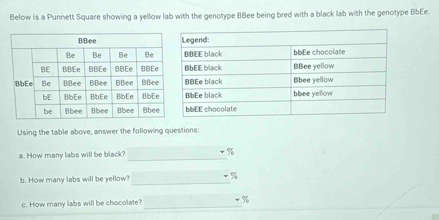 Below is a Punnett Square showing a yellow lab with the genotype BBee being bred with a black lab with the genotype BbEe. 
Using the table above, answer the following questions: 
a. How many labs will be black? _% 
b. How many labs will be yellow? _ %
c. How many labs will be chocolate?_
%