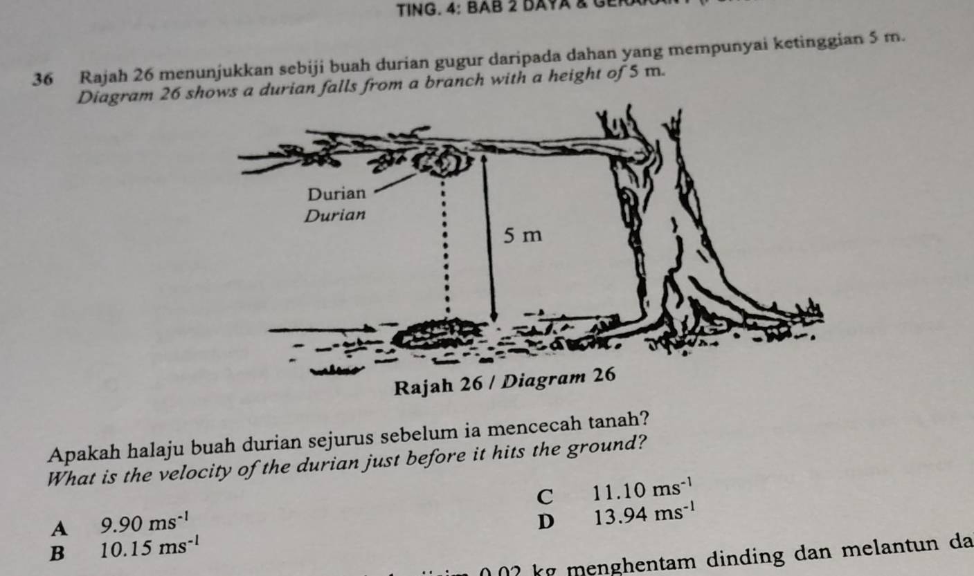 TING. 4: BAB 2 DAYA & GE
36 Rajah 26 menunjukkan sebiji buah durian gugur daripada dahan yang mempunyai ketinggian 5 m.
Diagram 26 s durian falls from a branch with a height of 5 m.
Apakah halaju buah durian sejurus sebelum ia mencecah tanah?
What is the velocity of the durian just before it hits the ground?
C 11.10ms^(-1)
A 9.90ms^(-1)
D 13.94ms^(-1)
B 10.15ms^(-l)
2 kg menghentam dinding dan melantun da