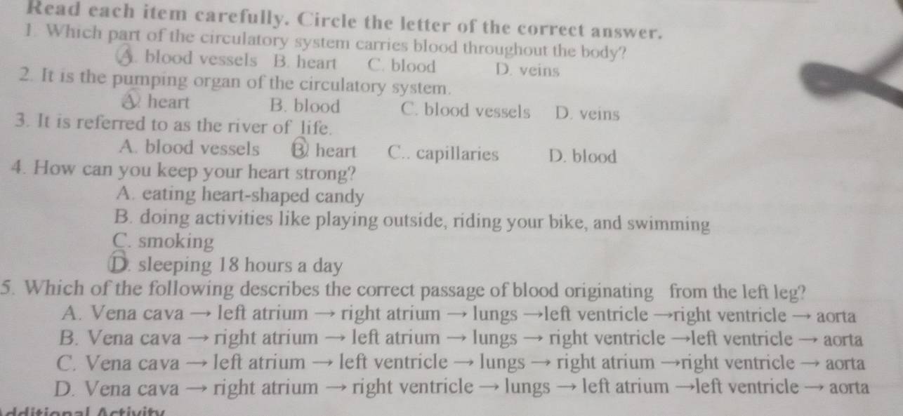 Read each item carefully. Circle the letter of the correct answer.
1. Which part of the circulatory system carries blood throughout the body?
A. blood vessels B. heart C. blood D. veins
2. It is the pumping organ of the circulatory system.
A heart B. blood C. blood vessels D. veins
3. It is referred to as the river of life.
A. blood vessels ③ heart C.. capillaries D. blood
4. How can you keep your heart strong?
A. eating heart-shaped candy
B. doing activities like playing outside, riding your bike, and swimming
C. smoking
D. sleeping 18 hours a day
5. Which of the following describes the correct passage of blood originating from the left leg?
A. Vena cava → left atrium → right atrium → lungs →left ventricle →right ventricle → aorta
B. Vena cava → right atrium → left atrium → lungs → right ventricle →left ventricle → aorta
C. Vena cava → left atrium → left ventricle → lungs → right atrium →right ventricle → aorta
D. Vena cava → right atrium → right ventricle → lungs → left atrium →left ventricle → aorta
d iti o n a l A ctiv i t y