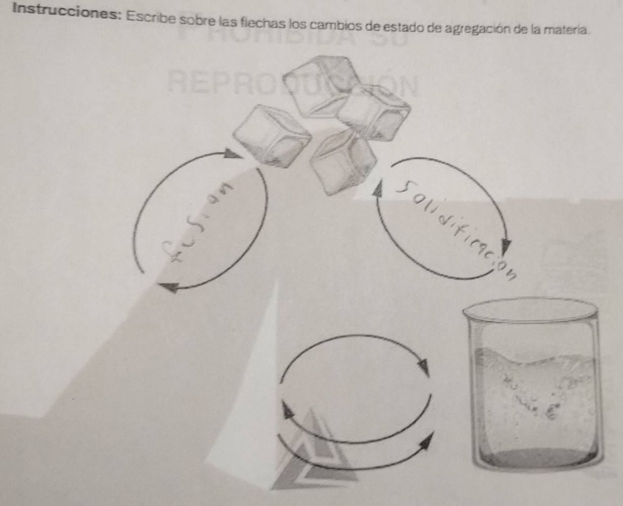 Instrucciones: Escribe sobre las flechas los cambios de estado de agregación de la matería. 
19८