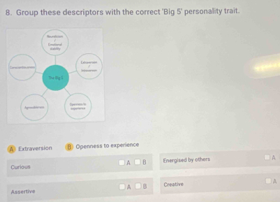 Group these descriptors with the correct 'Big 5° personality trait.
A Extraversion B Openness to experience
A□ B
Curious Energised by others A
A□ B Creative A
Assertive