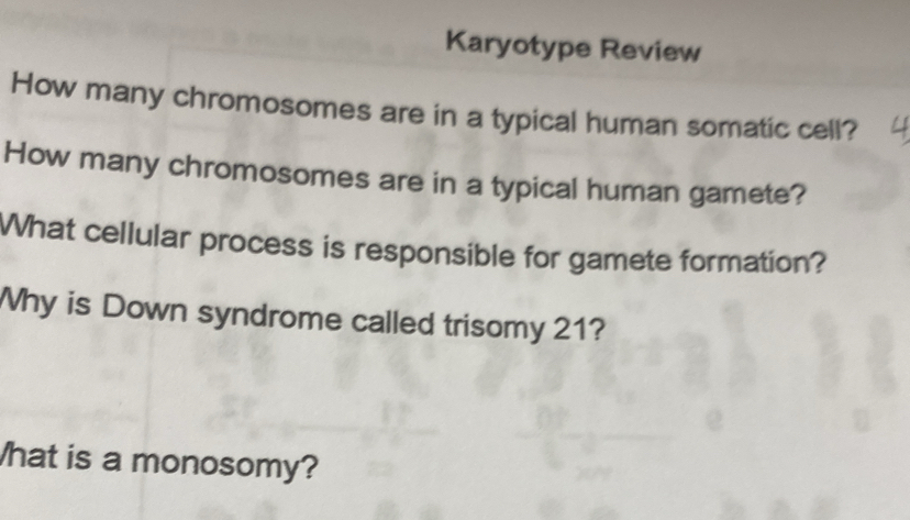 Solved: Karyotype Review How many chromosomes are in a typical human ...