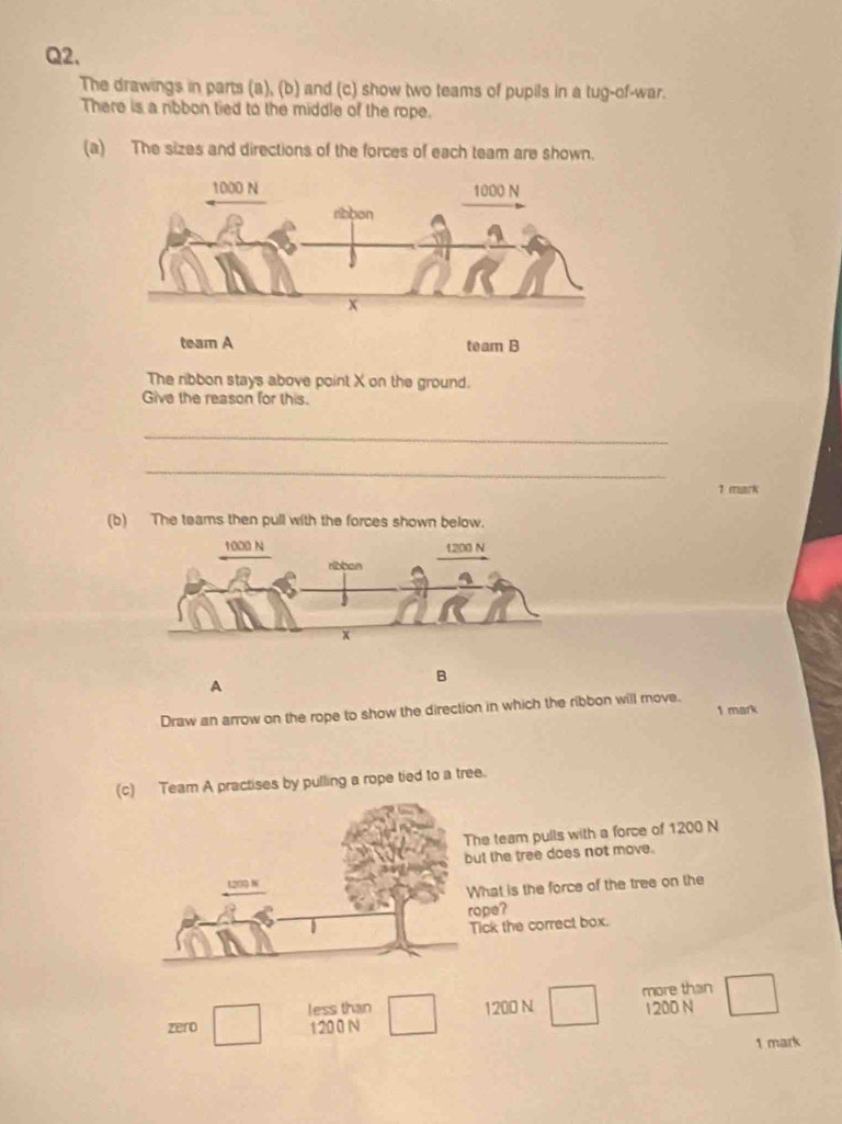 The drawings in parts (a), (b) and (c) show two teams of pupils in a tug-of-war.
There is a rbbon tied to the middle of the rope.
(a) The sizes and directions of the forces of each team are shown.
team A team B
The ribbon stays above point X on the ground.
Give the reason for this.
_
_
1 mark
(b) The teams then pull with the forces shown below.
A
B
Draw an arrow on the rope to show the direction in which the ribbon will move. 1 mark
(c) Team A practises by pulling a rope tied to a tree.
e team pulls with a force of 1200 N
t the tree does not move.
hat is the force of the tree on the
pe?
ick the correct box.
less than 1200 N more than
zero 1200 N 1200 N
1 mark