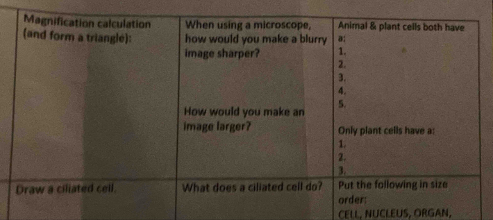 CELL, NUCLEUS, ORGAN,