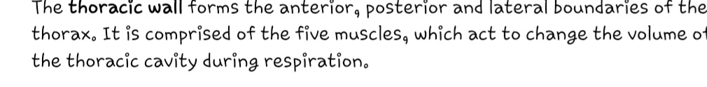 The thoracic wall forms the anterior, posterior and lateral boundaries of the 
thorax. It is comprised of the five muscles, which act to change the volume of 
the thoracic cavity during respiration.