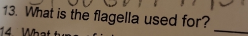 What is the flagella used for? 
14. Wh 
_