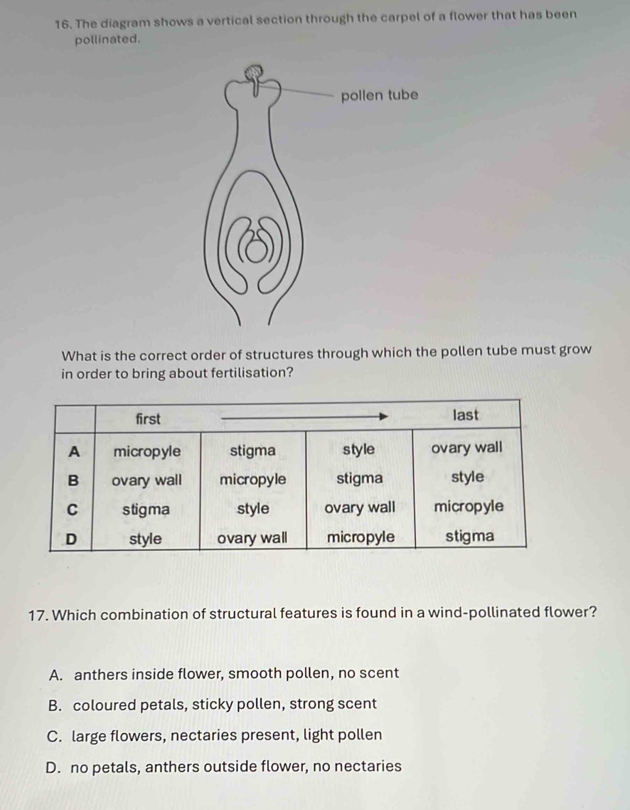 The diagram shows a vertical section through the carpel of a flower that has been
pollinated.
What is the correct order of structures through which the pollen tube must grow
in order to bring about fertilisation?
17. Which combination of structural features is found in a wind-pollinated flower?
A. anthers inside flower, smooth pollen, no scent
B. coloured petals, sticky pollen, strong scent
C. large flowers, nectaries present, light pollen
D. no petals, anthers outside flower, no nectaries