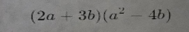 (2a+3b)(a^2-4b)