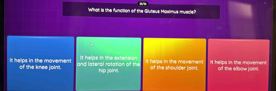 25/36
What is the function of the Gluteus Maximus muscle?
~
It helps in the extension
It helps in the movement and lateral rotation of the It helps in the movement It helps in the movement
of the knee joint. of the shoulder joint. of the elbow joint.
hip joint.